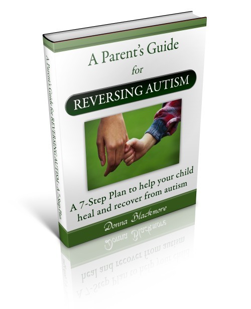 Product picture Guide for Reversing Autism